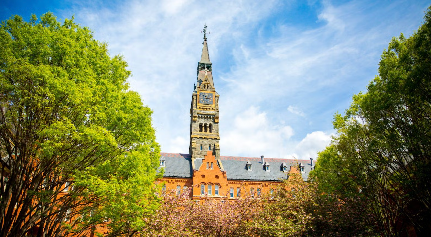 Healy Hall behind trees